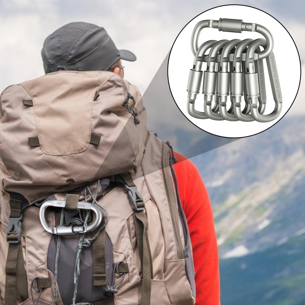 Keychain Security Carabiners 6 - огляд і ціна Carabiner Locking D