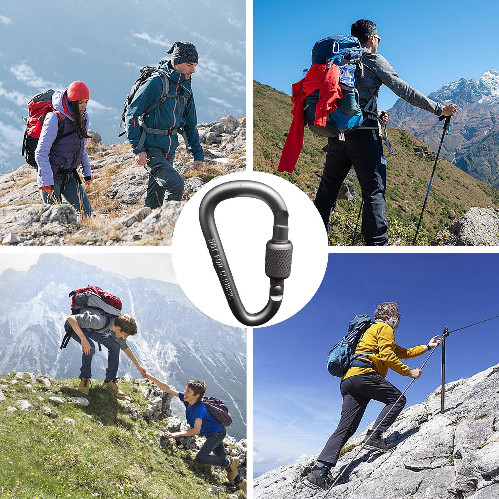 Outdoor Aluminum D Shape Locki - огляд і ціна Carabiner Locking D