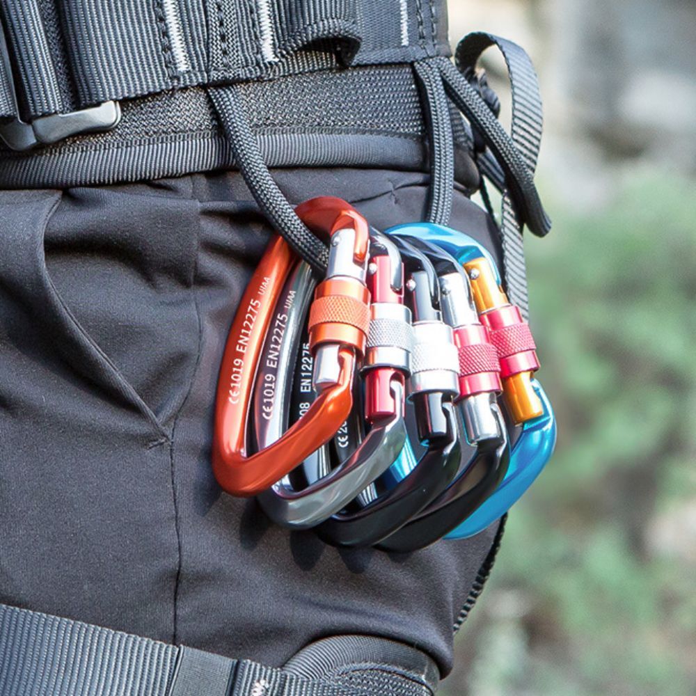 D-shape 25KN Climbing Carabine - огляд і ціна Carabiner Locking D